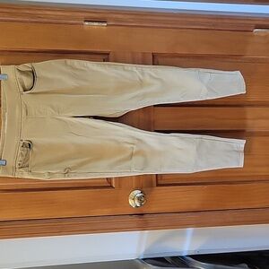 Levi Signature Jeggings